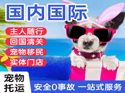 东河机场托运国际宠物托运 【国